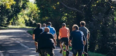 베로나에서 출발하는 소그룹 아마로네 와인 전자 자전거 투어
