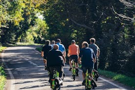 베로나에서 출발하는 소그룹 아마로네 와인 전자 자전거 투어