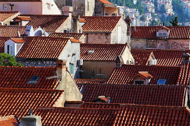 Mura private della città di Dubrovnik e tour della città