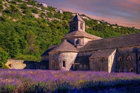 Lavender Route - Pienryhmän päiväretki Avignonista