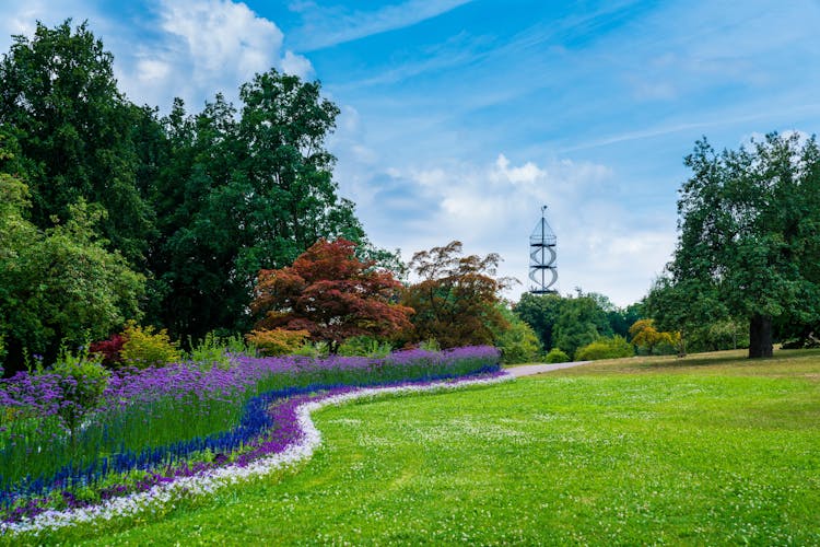 Photo of Germany, Stuttgart city district killesberg urban park colorful flowers and killesbergturm tower.