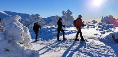 Snöskor i Madrid - Initiering - Seven Peaks Route