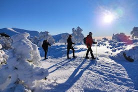 Raquetas de Nieve en Madrid - Iniciación - Ruta de Siete Picos