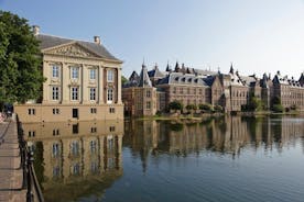 Yksityinen kiertue: Haagin kävelykierros, joka sisältää rauhanpalatsin vierailukeskuksen