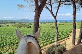 Horse riding in the vineyards of Ramatuelle, Gulf of Saint-Tropez