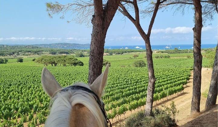 Horse riding in the vineyards of Ramatuelle + wine tasting