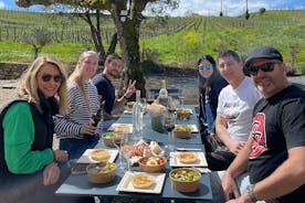Bordeaux Full Day Wine Tour - 3 Wineries & Gourmet Picnic Lunch