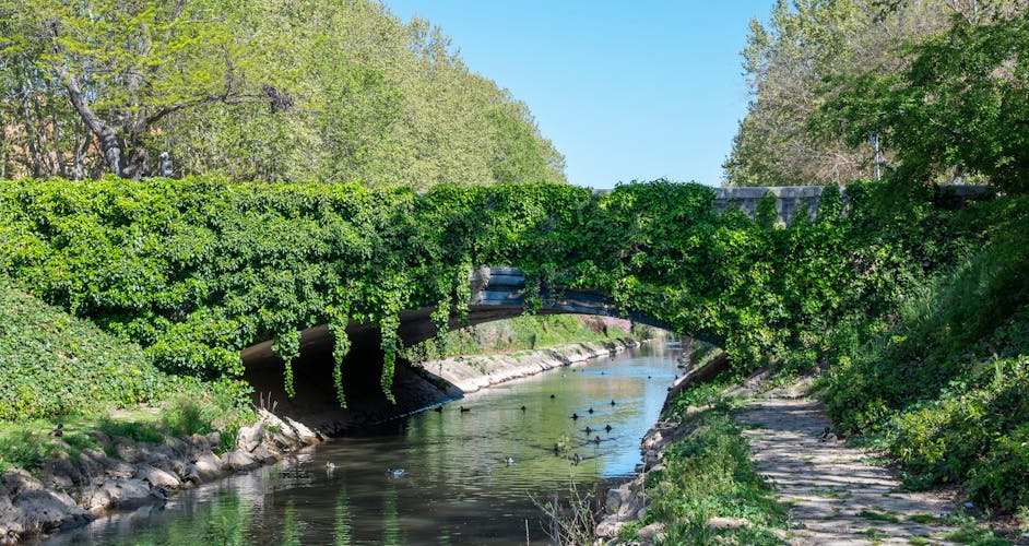 Photo of beautiful ivy-covered stone bridge over the Esgueva River as it passes through Valladolid, Spain.