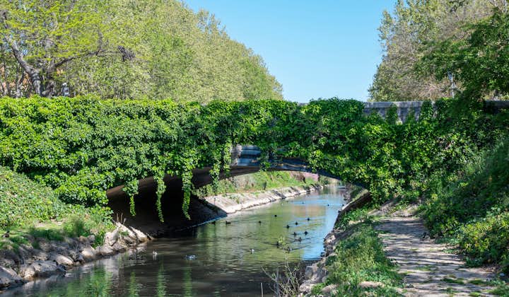 Photo of beautiful ivy-covered stone bridge over the Esgueva River as it passes through Valladolid, Spain.