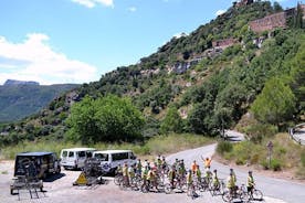 Half Day Cycling Tour from Salou