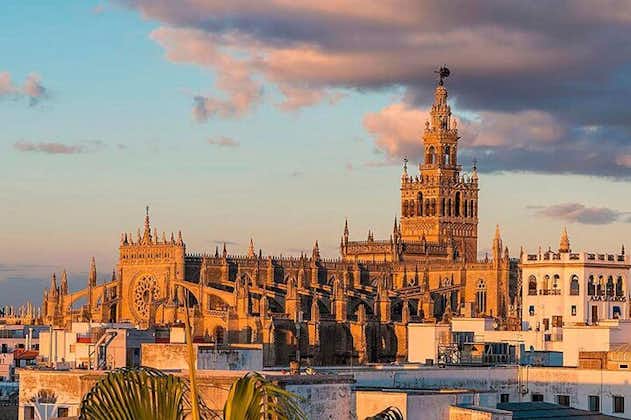 Heldags privat tur til Sevilla fra Málaga