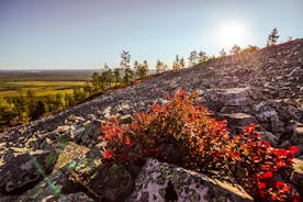 Guided easy hike in Finland deepest gorge in Pyhä-Luosto National Park