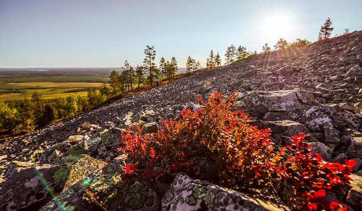 Guided easy hike in Finland deepest gorge in Pyhä-Luosto National Park