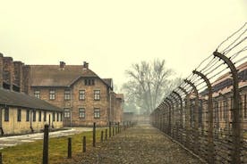 Cracovia: tour guidato di Auschwitz-Birkenau e prelievo in hotel