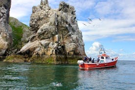 Howth Coastal 1 Hour Boat Tour (Ireland's Eye Ferries)