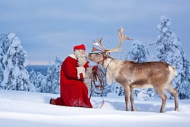 All in One Santa Claus Village with Dog Sledding Adventure