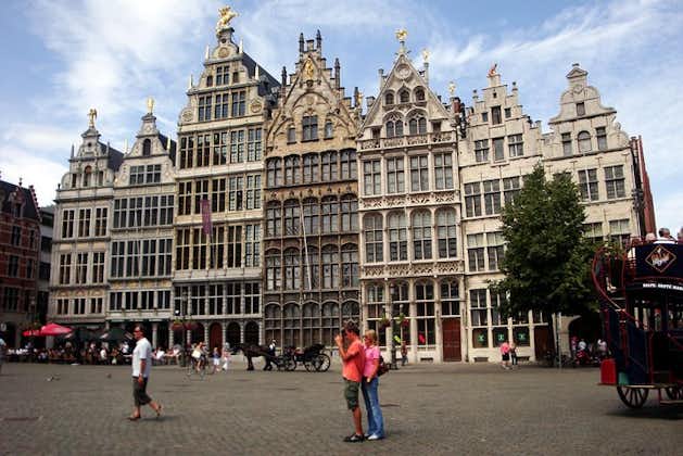 Privater Tagesausflug von Amsterdam nach Antwerpen