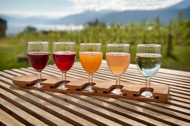 Cidery Day Tour with a Fjord Cruise from Vossevangen