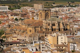 Private 4 hour walking tour of Granada (tickets to Cathedral and Royal Chapel)