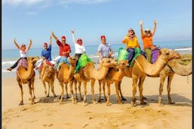 Authentic Private Tangier Tour from Malaga Camel Ride & Lunch