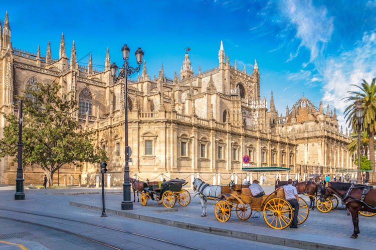 Photo of beautiful Sevilla and horses in the background. 