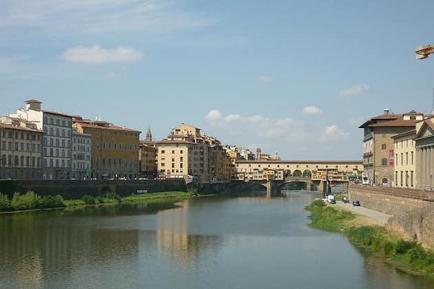 Privat tur: Alle dagstur fra Roma til Firenze