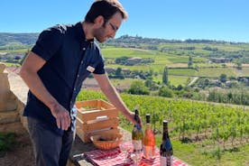 Excursion à la découverte des vins gastronomiques du Beaujolais avec dégustations au départ de Lyon