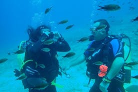 Certificado Padi Open Water na Ilha de Andros