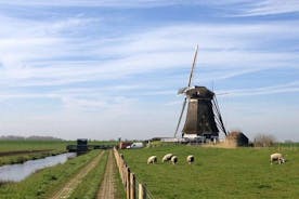 Visita privada guiada personalizable de día completo de Holanda desde Ámsterdam