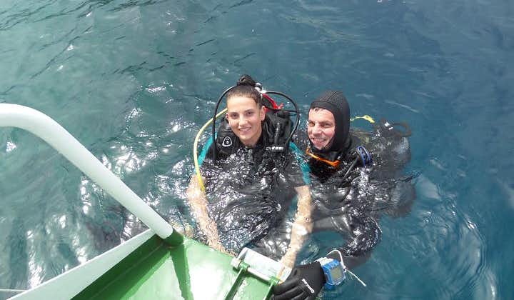 Try Scuba Diving! - Crikvenica/ Krk island