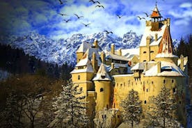 Private Day Trip to Transylvania: Dracula Castle, Royal Palace, Brasov Old Town
