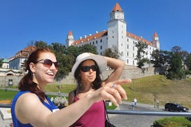 ミニバンで行くブラチスラヴァ市と城のプライベート ツアー
