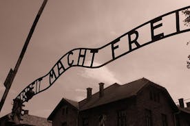 Auschwitz-Birkenau Guided Tour from Krakow Small Group