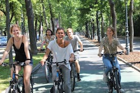 Excursión en bicicleta por la ciudad de Viena