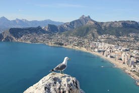Alicante kuin paikallinen: räätälöity yksityinen kiertue