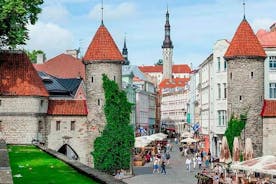 Tallinn sjálfur með enskumælandi bílstjóra með bíl, sendibíl eða smárútu
