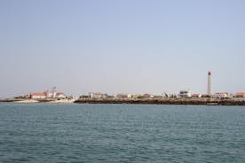 Ilha Deserta e Isla Farol: paseo en barco en la Ria Formosa desde Faro en un pequeño grupo
