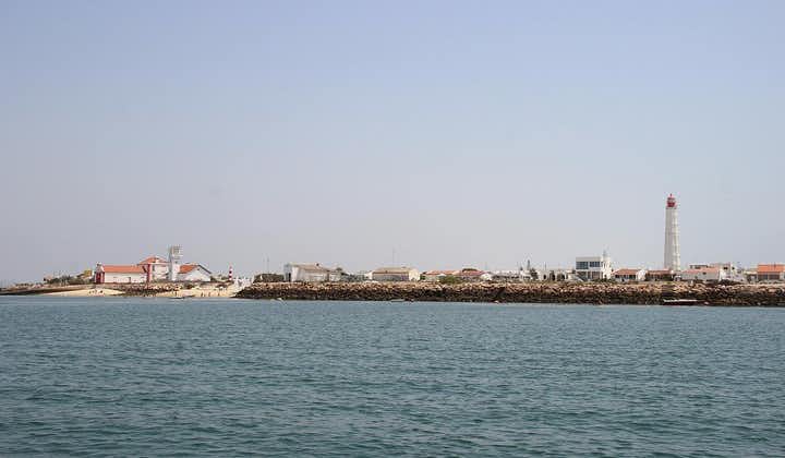 Ilha Deserta en Ilha Do Farol: boottocht met een kleine groep naar Ria Formosa vanuit Faro