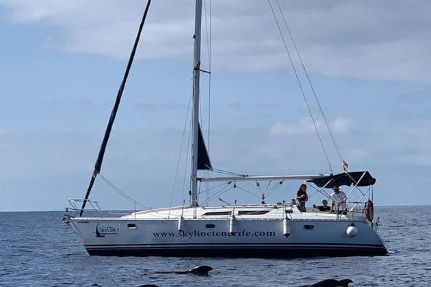 Excursion 3 Hours on Sailboat in Tenerife South