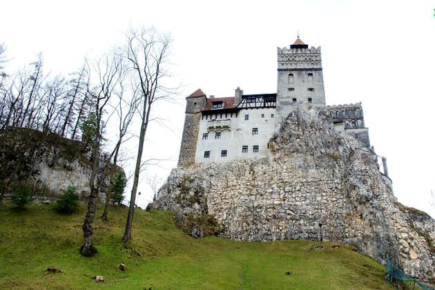 Bear Sanctuary and Bran Castle from Brasov