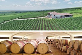 Tohani and Dealu Mare Private Wine Tasting journey from Bucharest