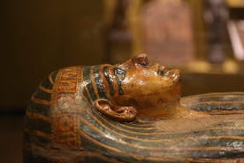 Highlights of Turin & Egyptian Museum skip the line with a private guide 