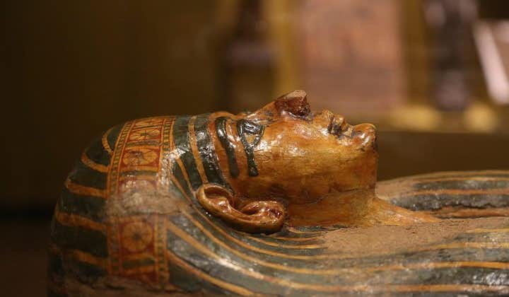 Highlights of Turin & Egyptian Museum skip the line with a private guide 