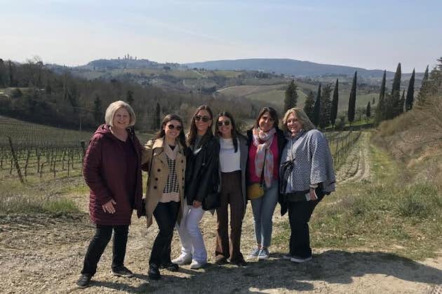 Tour guidato di un giorno con degustazione di vini e storia nel Chianti