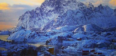 Winter Full-Day Guided Tour of the Lofoten Islands