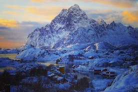 Winter Full-Day Guided Tour of the Lofoten Islands