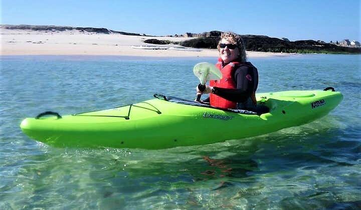 Kayak de mar guiado de 2,5 horas en Roundstone Bay