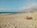 Amitis beach, Municipality of Naxos and the Lesser Cyclades, Naxos Regional Unit, South Aegean, Aegean, Greece