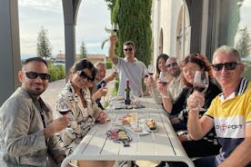 Tour per piccoli gruppi di Saint-Émilion con degustazione di cibo e vino da Bordeaux
