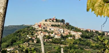 Istria in 1 Day Tour (from Pula or Medulin) 